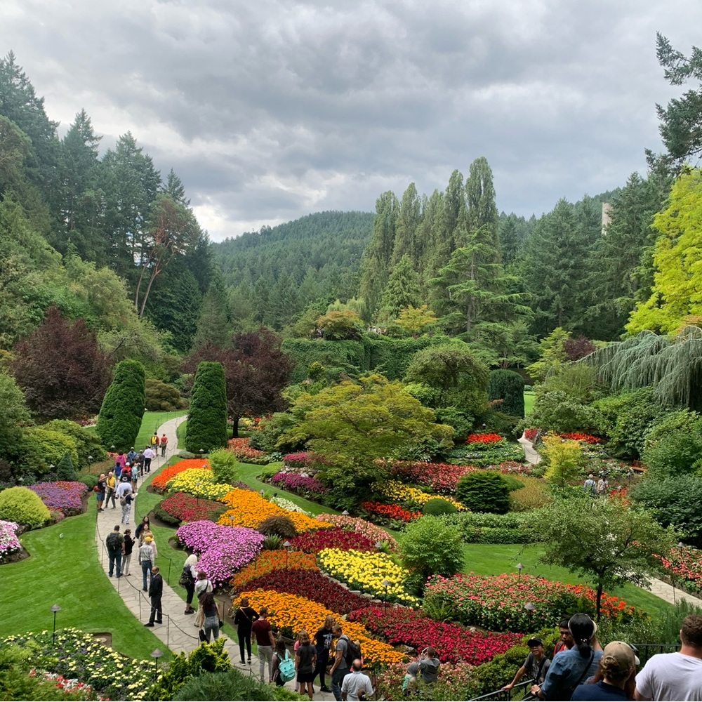 Meet your Posher, Kristine